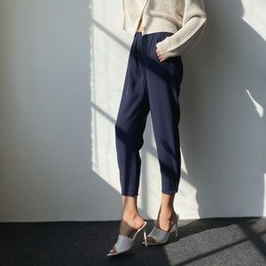 Aritzia Babaton Dexter Pant